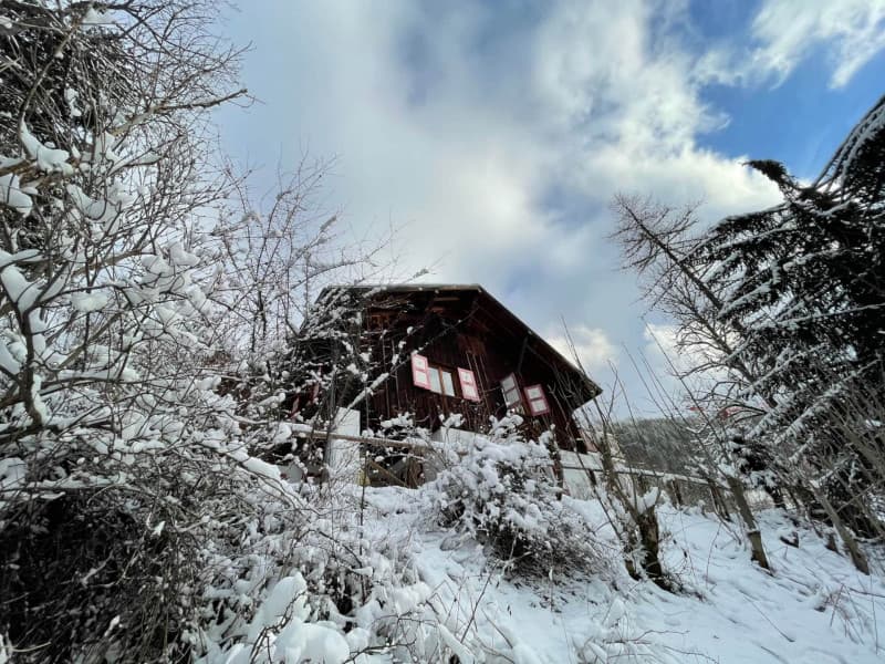 Photo du logement
