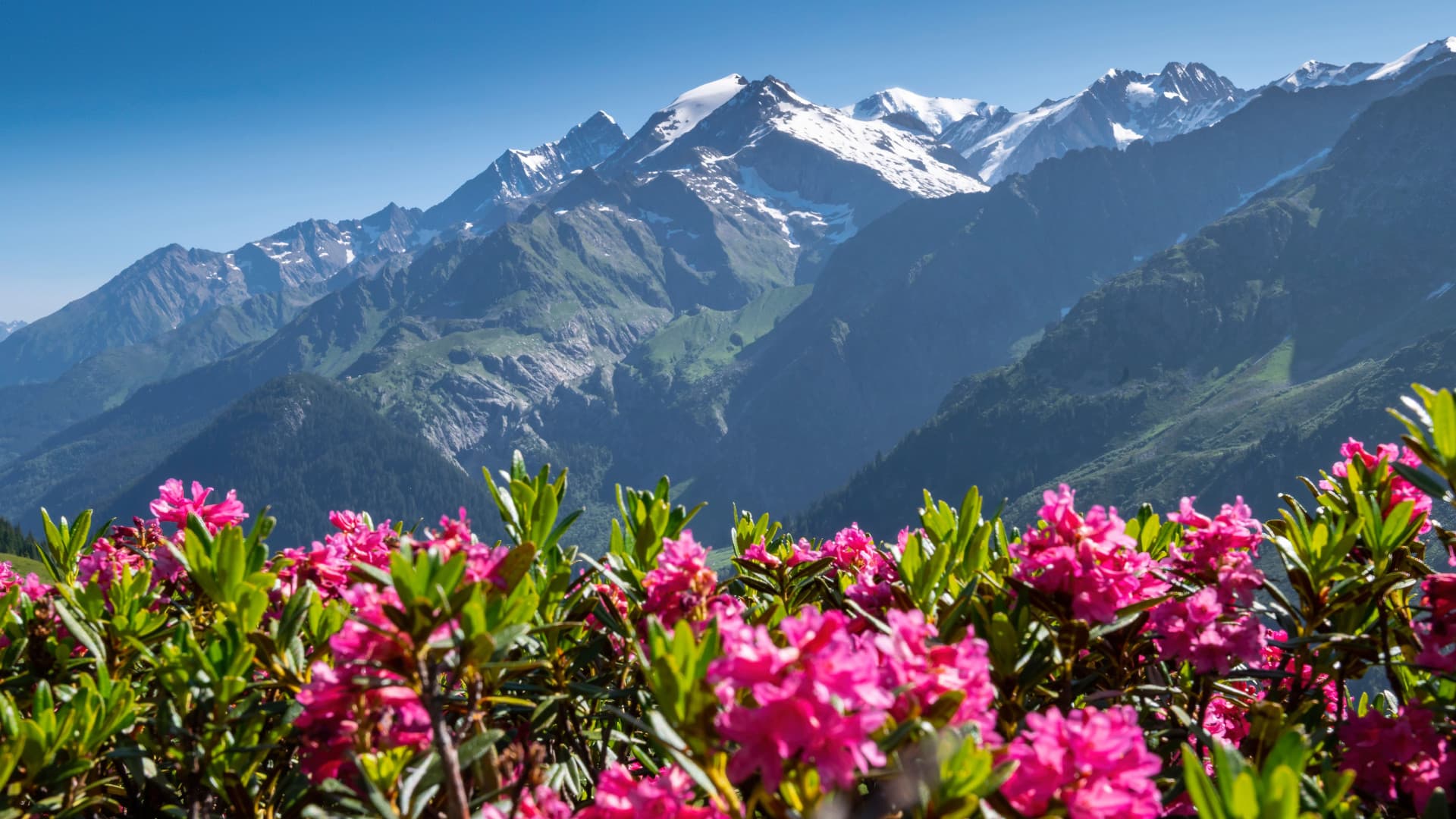 La réserve naturelle des Contamines-Montjoie